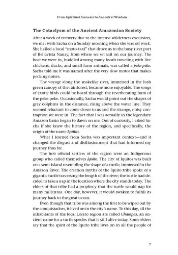 Beyond Ayahuasca view 8