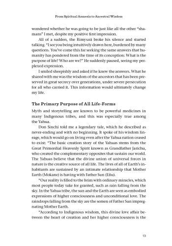 Beyond Ayahuasca view 2
