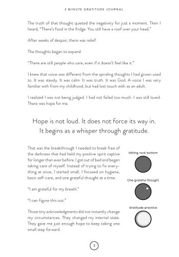 3 Minute Gratitude Journal view 4
