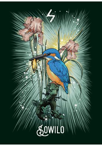 The Witch's Familiar Runic Oracle