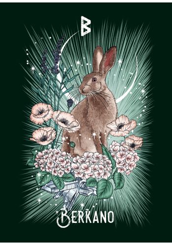The Witch's Familiar Runic Oracle