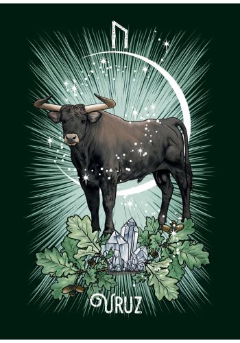 The Witch's Familiar Runic Oracle