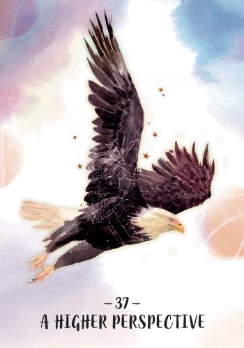 Sisterhood of the Seers Oracle view 3