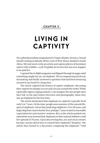 The Wildfit Way view 8
