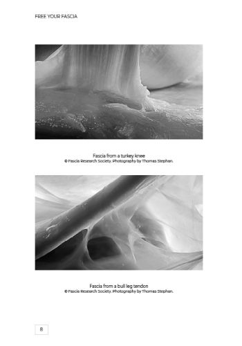 Free Your Fascia view 10