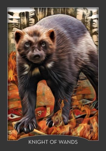 The Guardian of the Night Tarot view 7