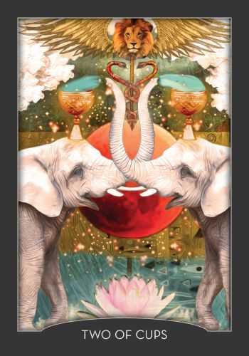 The Guardian of the Night Tarot view 6
