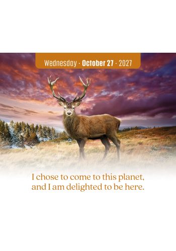 I Can Do It® 2027 Calendar view 5