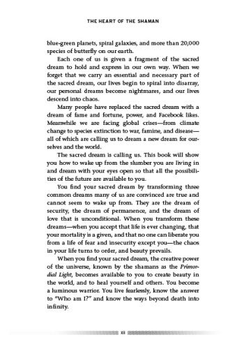 The Heart of the Shaman view 5