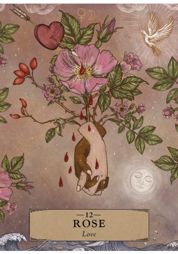 The Herbal Astrology Pocket Oracle view 4