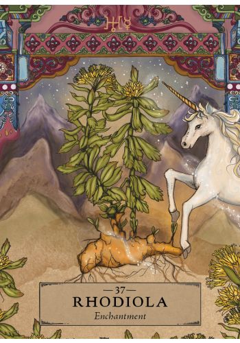 The Herbal Astrology Pocket Oracle
