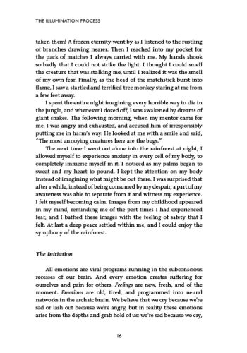 The Illumination Process view 7