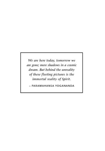 The Life of Yogananda view 3
