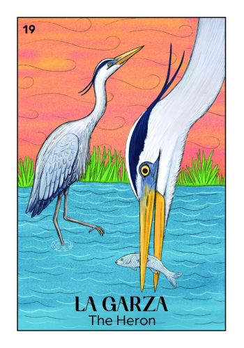 Lotería Remedios Oracle view 4
