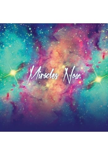 Miracles Now view 6
