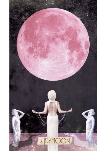 The Muse Tarot - A 78-Card Deck & Guidebook