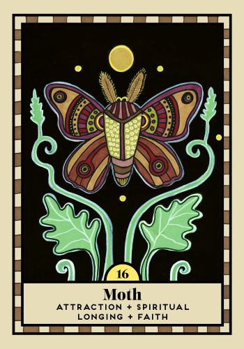 The Omen Oracle view 4