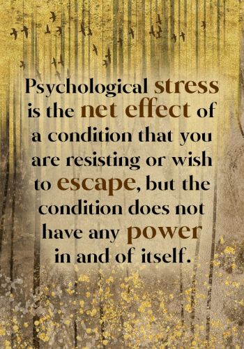 The Power vs. Force Deck