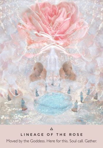 The Rose Oracle view 4