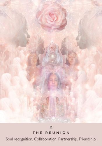 The Rose Oracle view 6