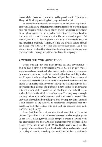 Sacred Vibrations view 5