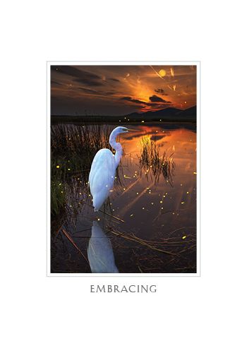 Sacred Destiny Oracle view 8
