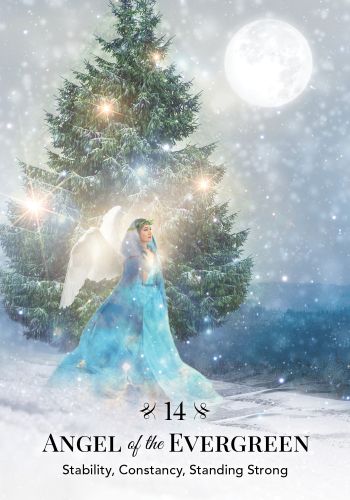 Angels of Nature Oracle view 3