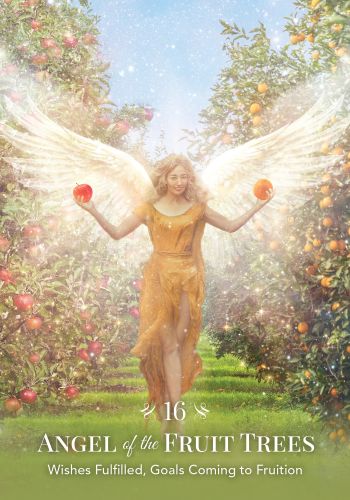 Angels of Nature Oracle view 6