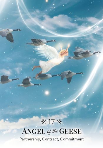 Angels of Nature Oracle view 4