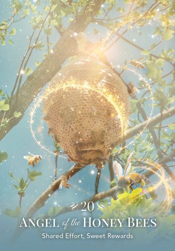 Angels of Nature Oracle view 7