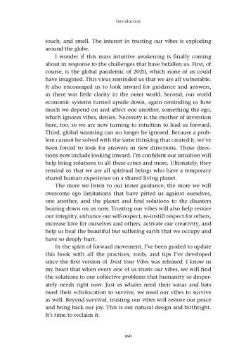Trust Your Vibes (Revised Edition) view 5