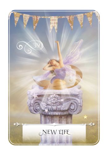 Wisdom of the Oracle Pocket Divination Cards view 11