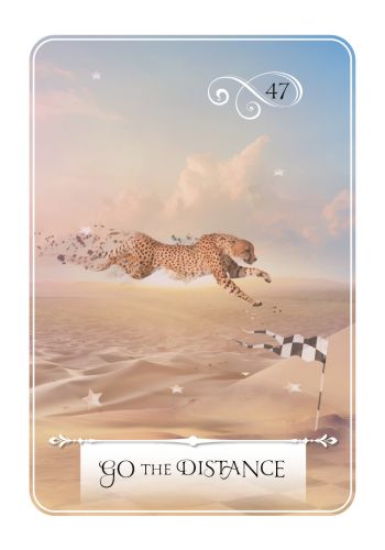 Wisdom of the Oracle Pocket Divination Cards view 5