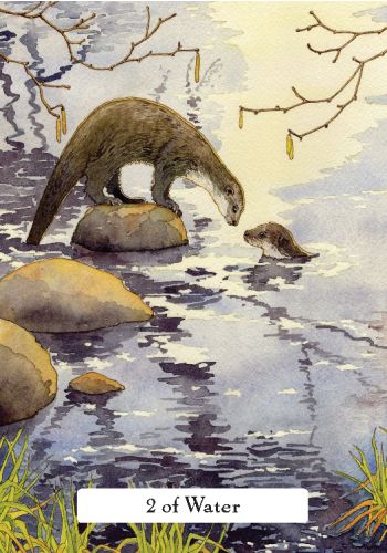 The Witches' Wisdom Tarot view 5