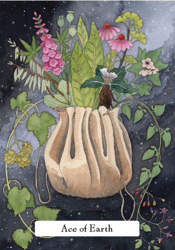 The Witches' Wisdom Tarot view 6