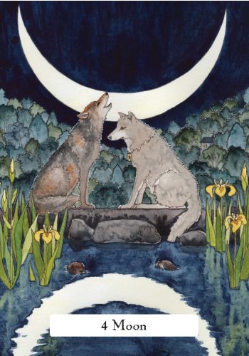 The Witches' Wisdom Tarot view 8