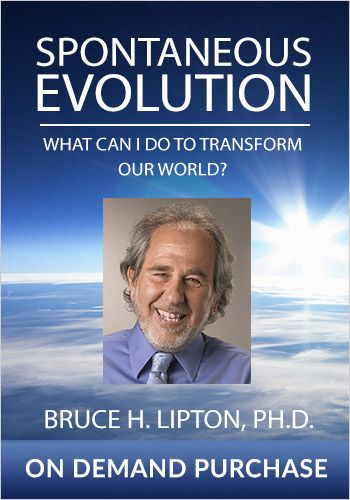 Spontaneous Evolution: What Can I Do to Transform Our World? view 1
