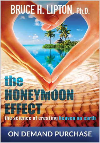 The Honeymoon Effect: The Science of Creating Heaven on Earth view 1