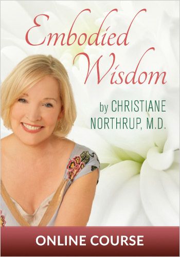 Embodied Wisdom view 1