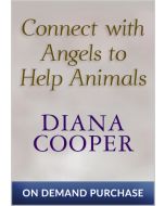 Connect with Angels to Help Animals