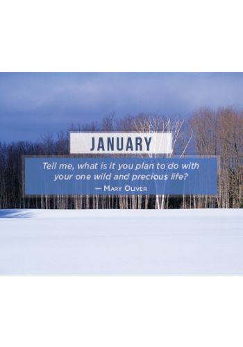Daily Inspiration From Dr Wayne W Dyer 2020 Calendar