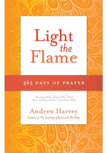 a light in the flame pdf download