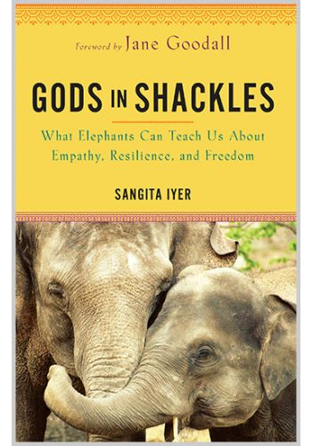 Gods in Shackles Paperback Book