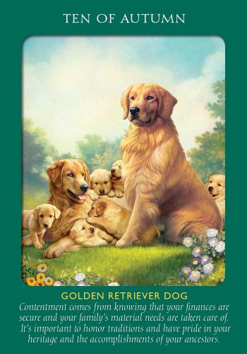 Animal Tarot Cards