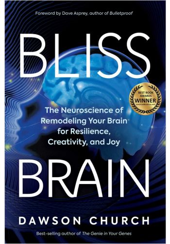 Bliss Brain Paperback Book