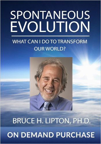 Spontaneous Evolution: What Can I Do to Transform Our World?