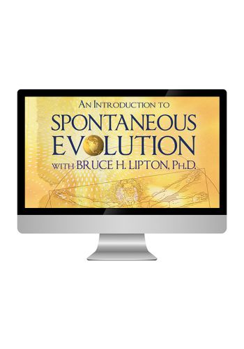 An Introduction to Spontaneous Evolution