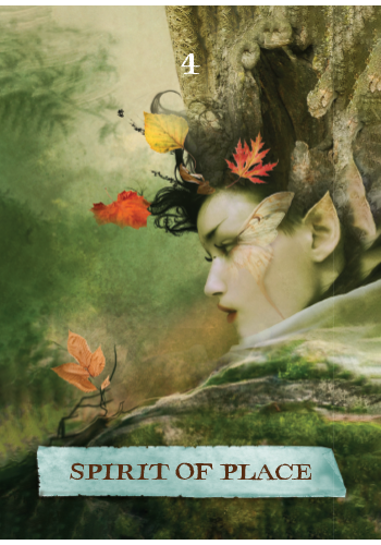 The Enchanted Map Oracle Cards : A 54 Card Deck & Guidebook