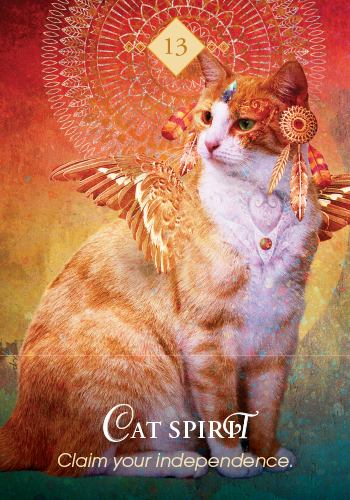 注目ショップ・ブランドのギフト The Spirit Animal Oracle その他