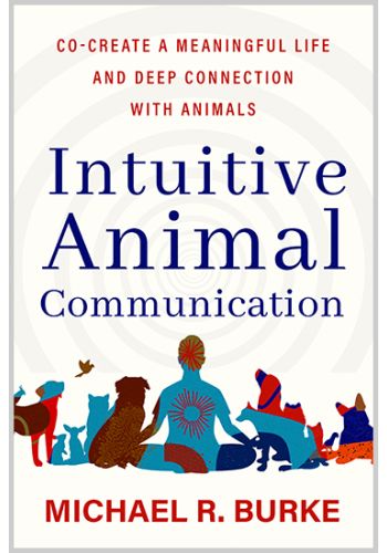 Intuitive Animal Communication